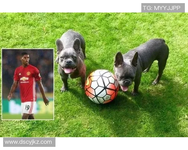 从足球规则角度探讨如何通过制度设计有效保护球星健康与比赛公平