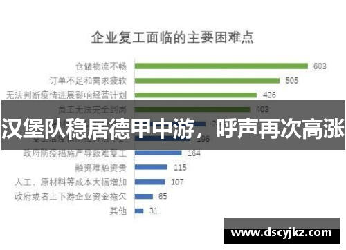 汉堡队稳居德甲中游，呼声再次高涨